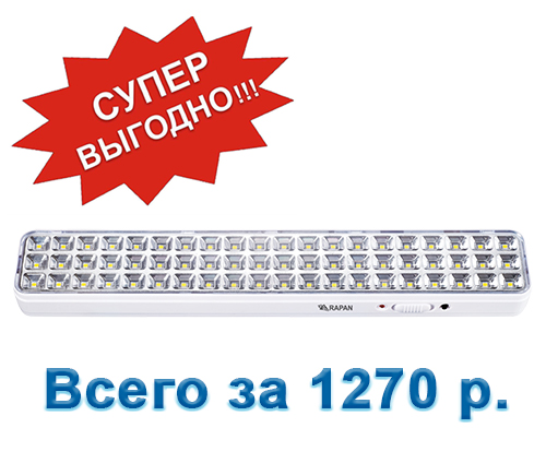 Рапан внутри